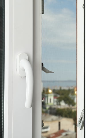 Neden PVC G�rsel 1